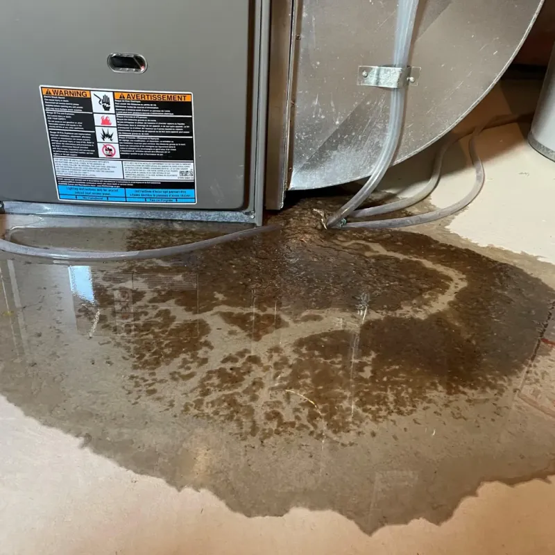 Appliance Leak Cleanup in Irondale, GA